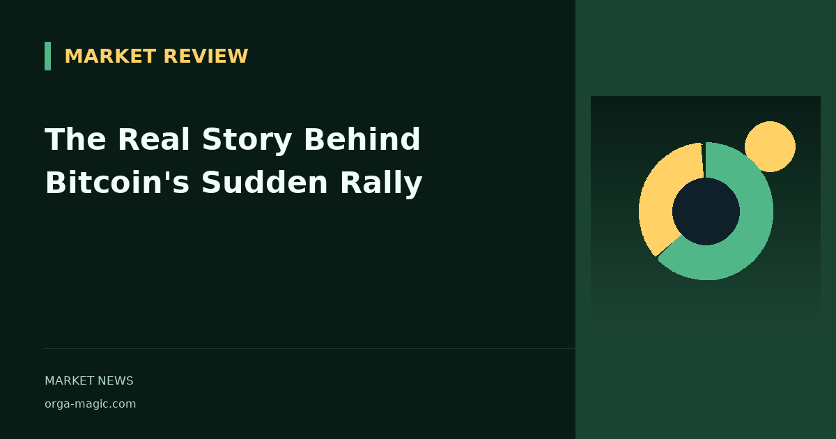 The Real Story Behind Bitcoin's Sudden Rally